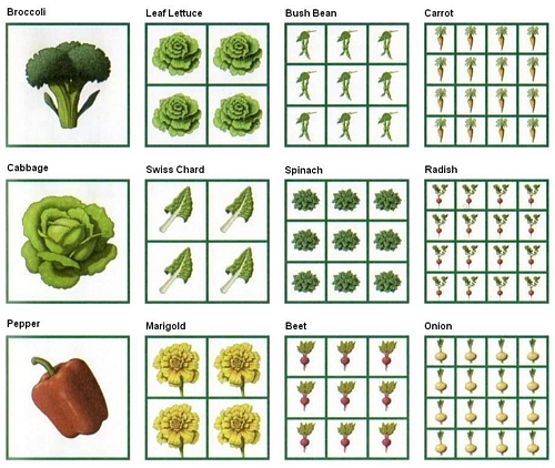 Square Foot Garden Diagrams